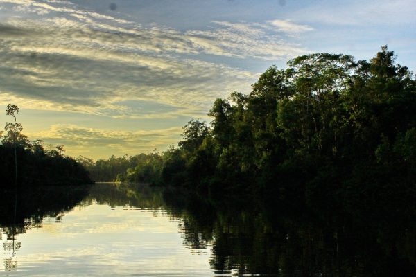 TIPE EKOSISTEM TAMAN NASIONAL TANJUNG PUTING